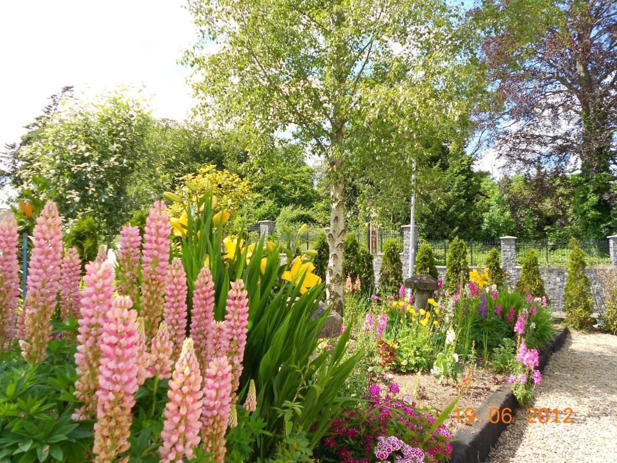 The Yellow House B&B Navan Exteriér fotografie